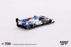 709 - BMW M Hybrid V8 #25 BMW M Team RLL 2023 IMSA Sebring 12 Hrs 2nd Place